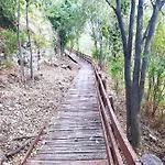 My טריקלה